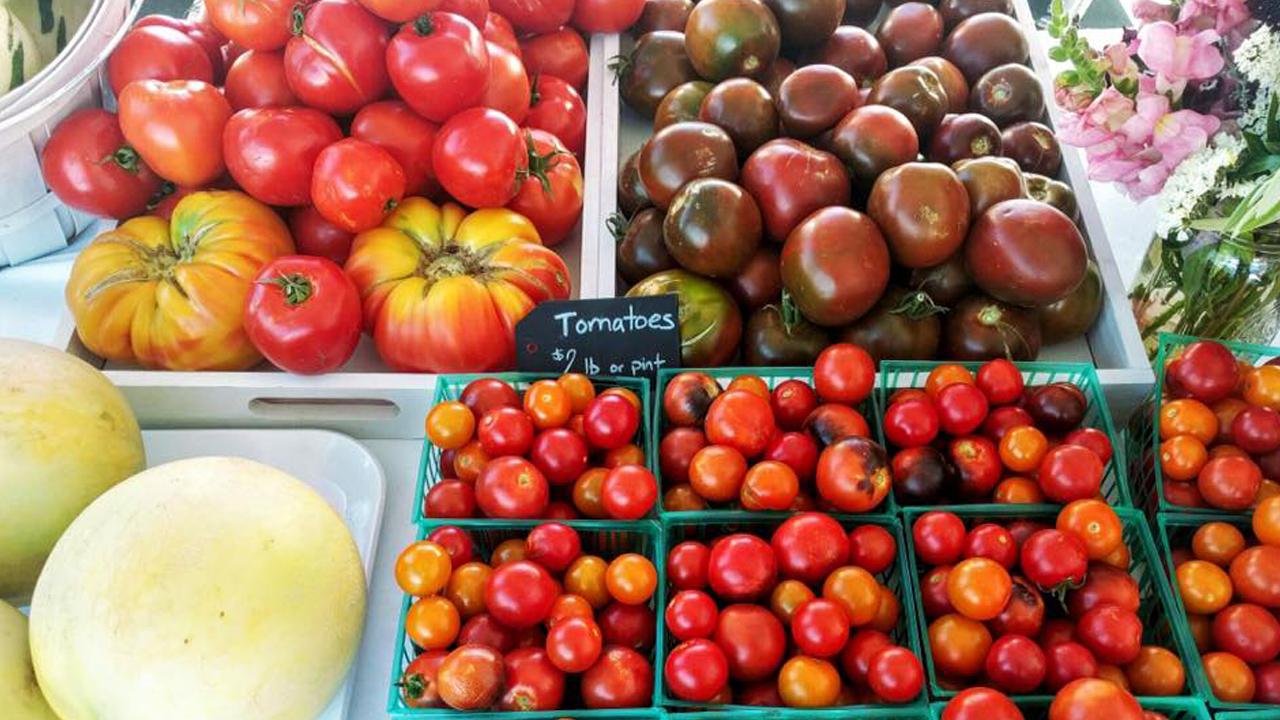 Farmers Market Vegetables at Farmers Market